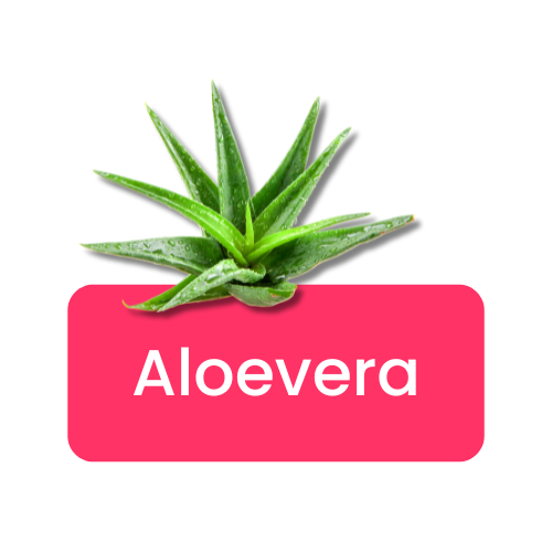 Aloevera