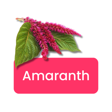 Amranth