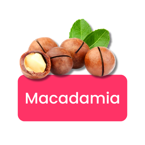 Macadamia Nuts