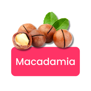 Macadamia Nuts