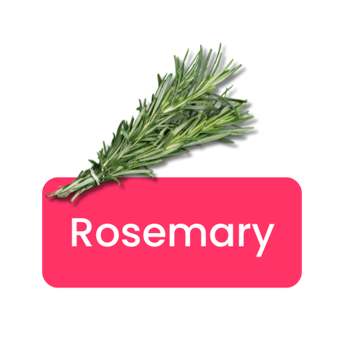 Rosemary