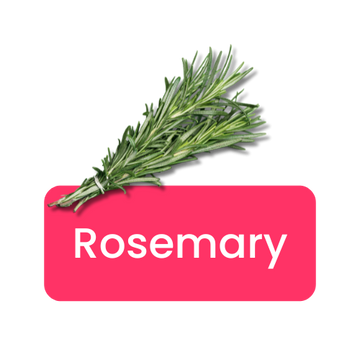 Rosemary